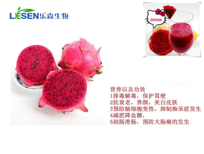 红心火龙果冻干粉 天然无添加，厂家现货供应，支持批量采购